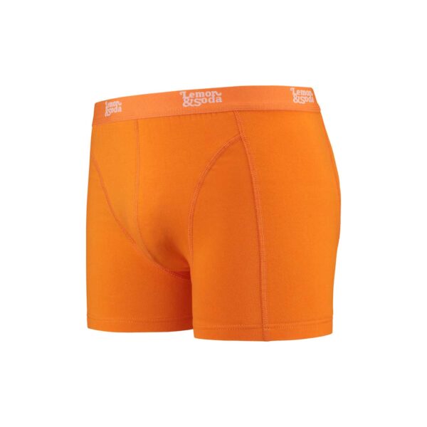 Lemon & Soda Underwear Boxer for him